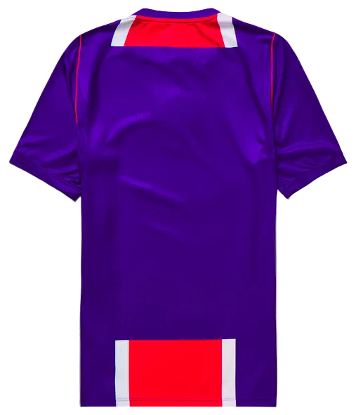 PSG 2024/25 Jersey — Special Edition (Purple)